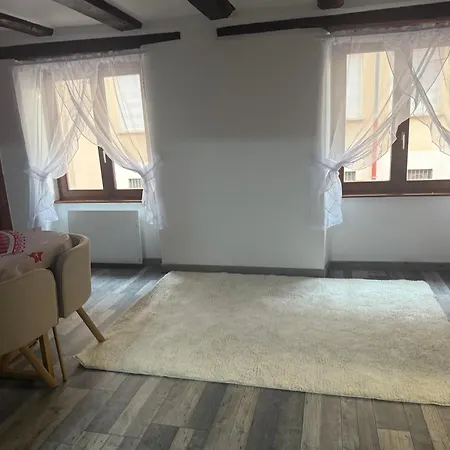 Le Petit Nid De Cigogne Colmar