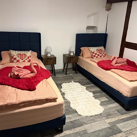 Le Petit Nid De Cigogne Appartement Colmar