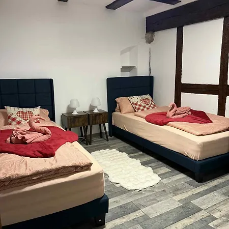 Le Petit Nid De Cigogne Colmar