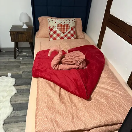 Appartement Le Petit Nid De Cigogne Colmar