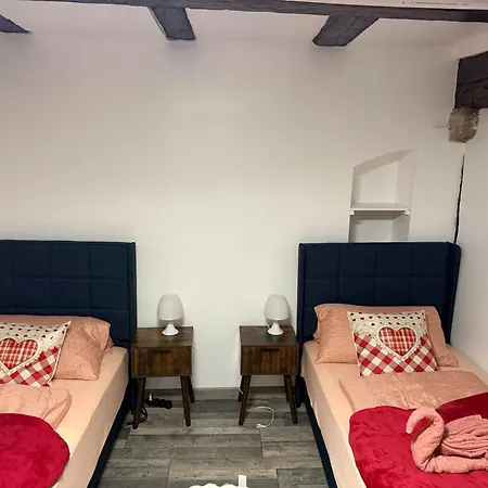 Le Petit Nid De Cigogne *