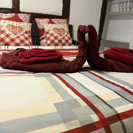 Appartement Le Petit Nid De Cigogne Colmar