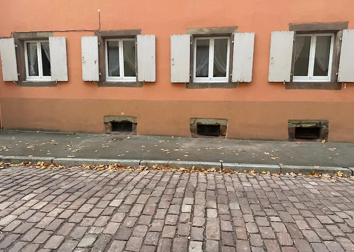 Apartment Le Petit Nid De Cigogne *