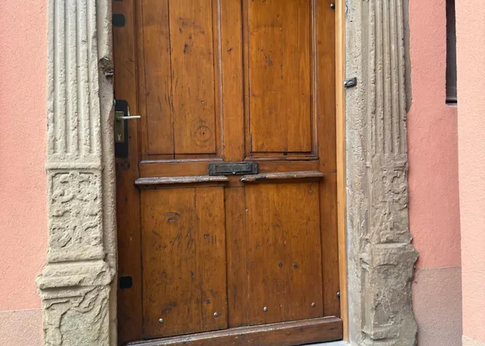 Le Petit Nid De Cigogne Colmar