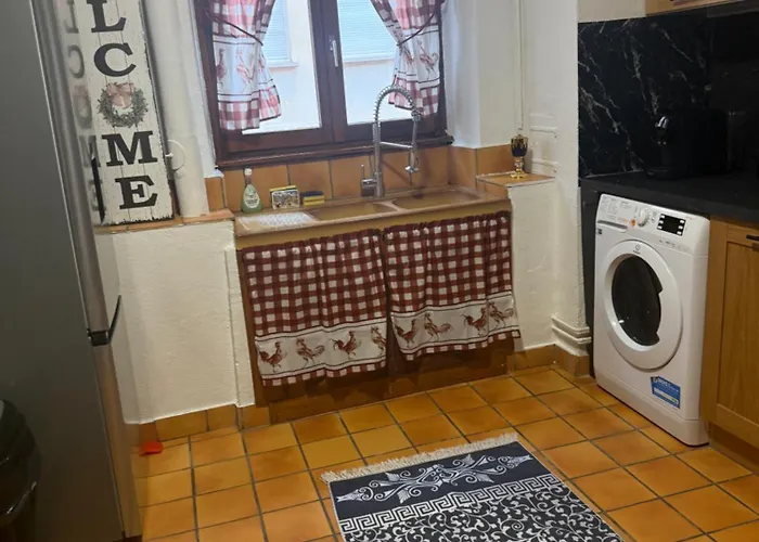 Le Petit Nid De Cigogne * Colmar