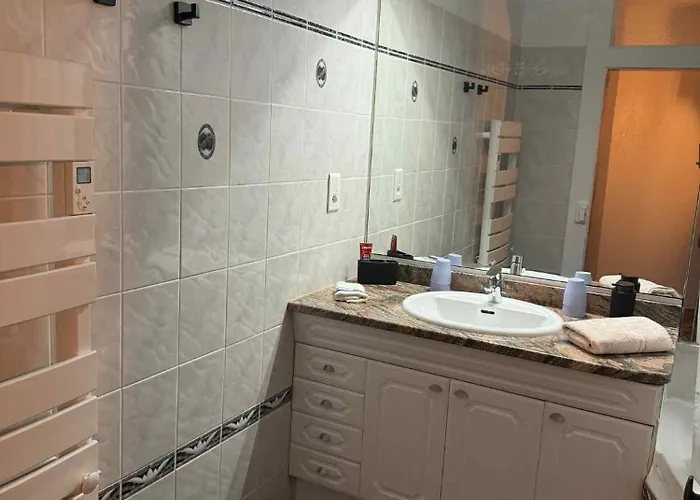 Apartment Le Petit Nid De Cigogne Colmar