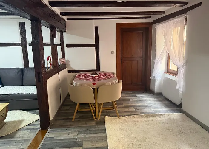 Apartment Le Petit Nid De Cigogne Colmar