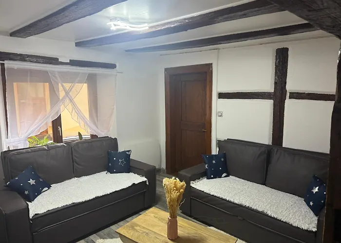 Apartment Le Petit Nid De Cigogne Colmar