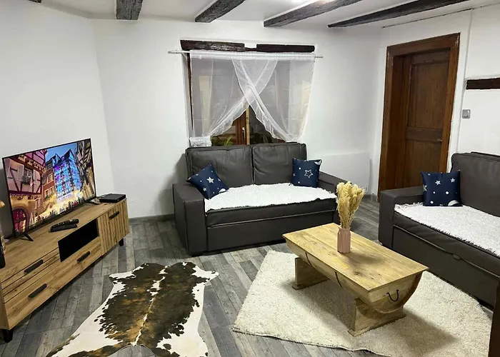 Le Petit Nid De Cigogne *