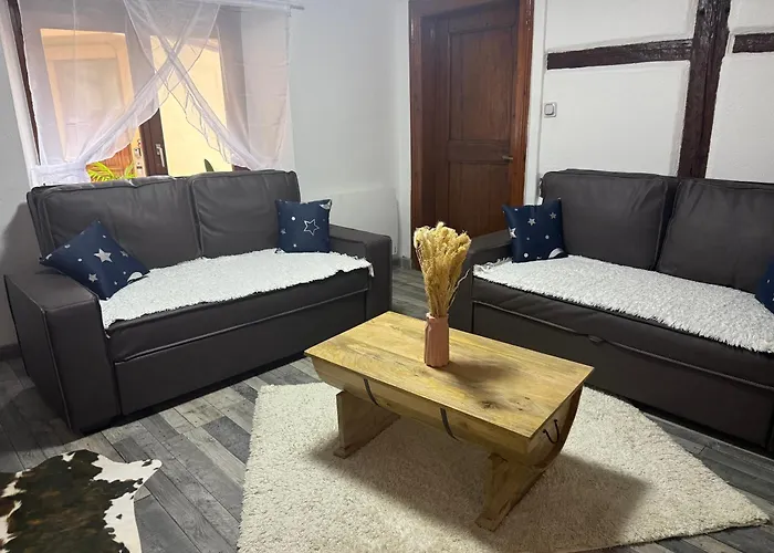 Apartment Le Petit Nid De Cigogne Colmar