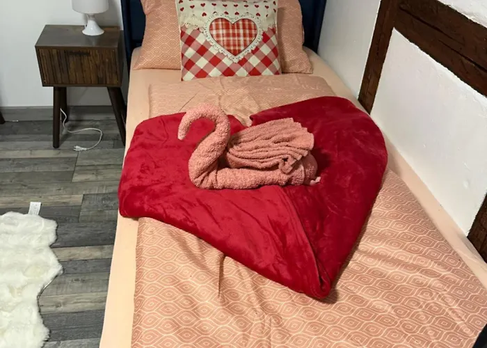 Apartment Le Petit Nid De Cigogne Colmar