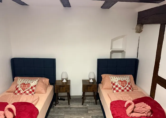 Le Petit Nid De Cigogne *