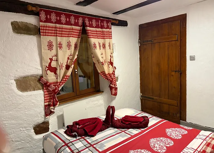 Le Petit Nid De Cigogne Apartment Colmar