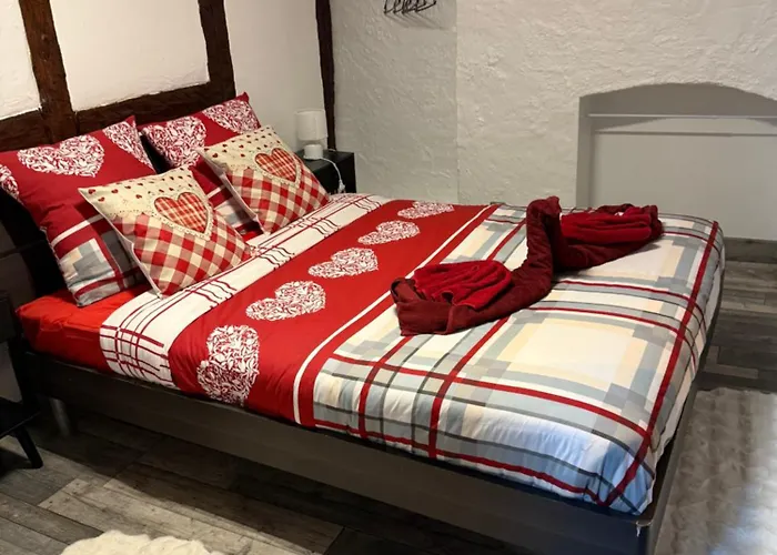 Apartment Le Petit Nid De Cigogne *